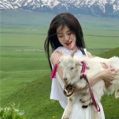冰上情缘