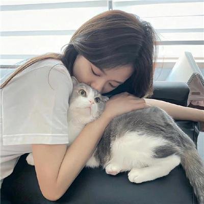反诈·猎蜂者